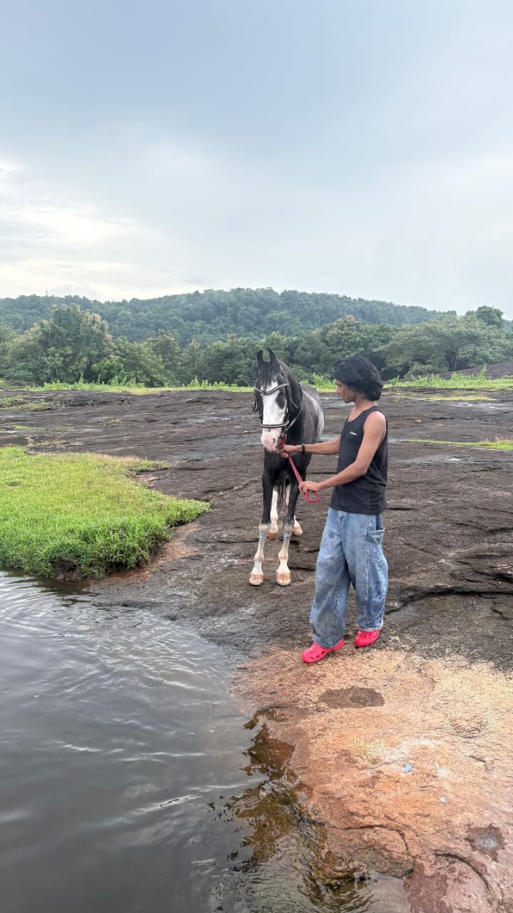 Handler leading a young horse beside the water at KPRC