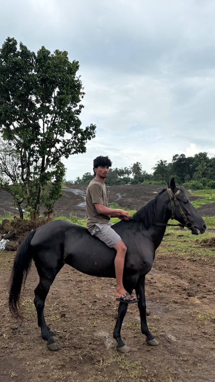 Rider on a black horse at Kerala Polo and Riding Club