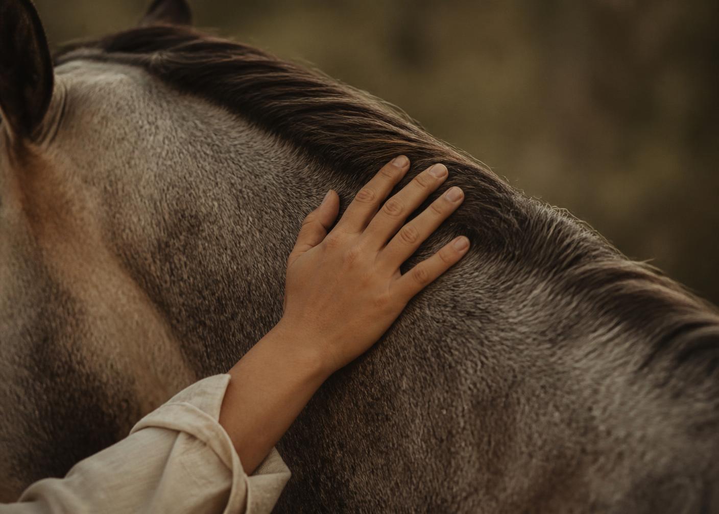 A hand resting on a horse's neck